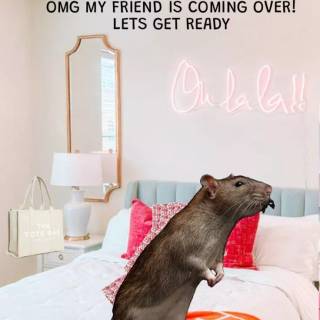 Preppy rat wallpaper