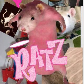 Preppy rat wallpaper