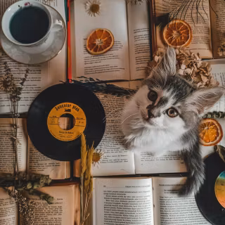 Cats and books wallpaper
