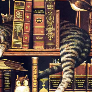 Cats and books wallpaper