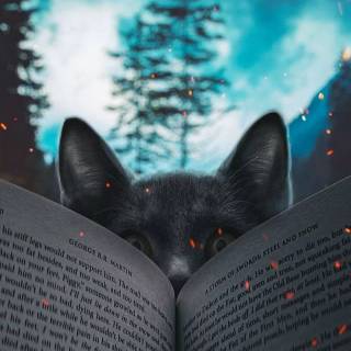 Cats and books wallpaper