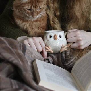 Cats and books wallpaper