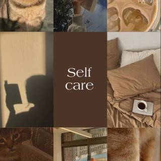 Cats and books wallpaper