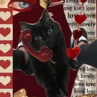Black cat Valentines wallpaper