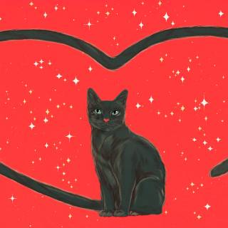 Black cat Valentines wallpaper