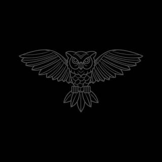 Minimalist owl wallpaper