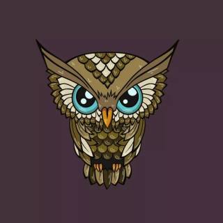 Minimalist owl wallpaper