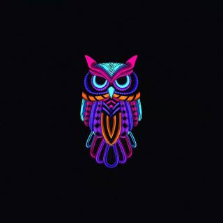 Minimalist owl wallpaper