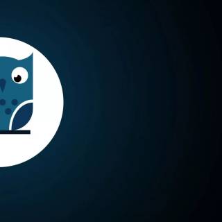 Minimalist owl wallpaper