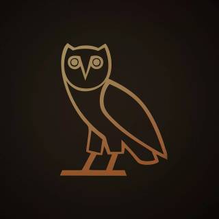 Minimalist owl wallpaper
