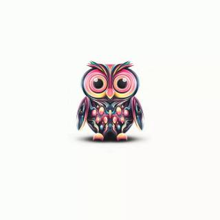 Minimalist owl wallpaper