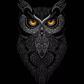 Minimalist owl wallpaper