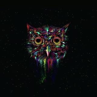 Minimalist owl wallpaper