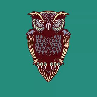 Minimalist owl wallpaper