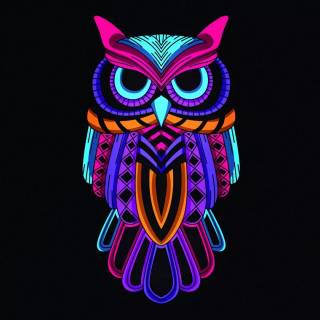 Minimalist owl wallpaper