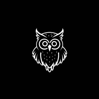 Minimalist owl wallpaper