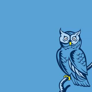 Minimalist owl wallpaper