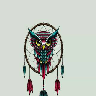 Minimalist owl wallpaper