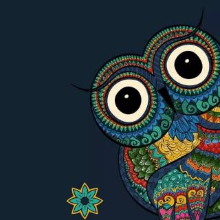 Minimalist owl wallpaper