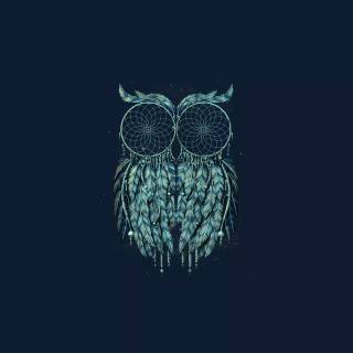 Minimalist owl wallpaper
