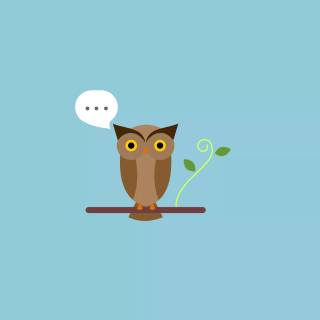 Minimalist owl wallpaper