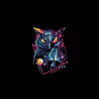 Minimalist owl wallpaper