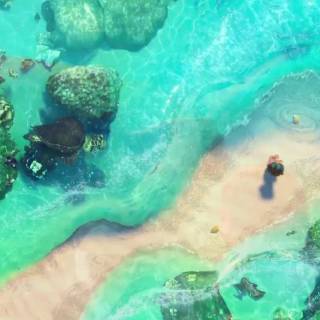 Moana desktop wallpaper