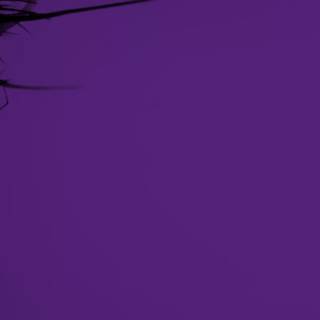 Gothic laptop Tumblr wallpaper