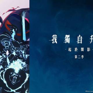 Solo Leveling 2 Arise from the Shadow wallpaper