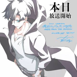 Solo Leveling 2 Arise from the Shadow wallpaper