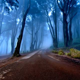 Mystical 4k wallpaper