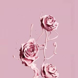 iPhone 4k pink wallpaper