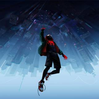 Spider-Man Into The Spider Verse 4k laptop wallpaper