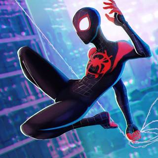 Spider-Man Into The Spider Verse 4k laptop wallpaper