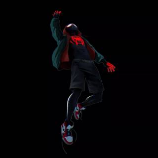 Spider-Man Into The Spider Verse 4k laptop wallpaper