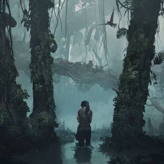 Tomb Raider PC 4k wallpaper