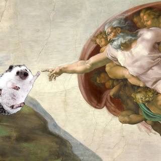 The Creation of Adam 4k wallpaper