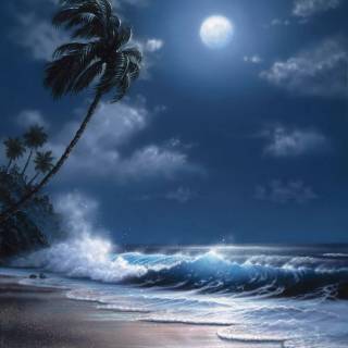 Moonlight seascape wallpaper