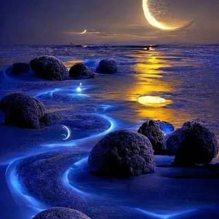 Moonlight seascape wallpaper