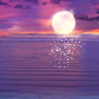 Moonlight seascape wallpaper