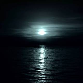 Moonlight seascape wallpaper