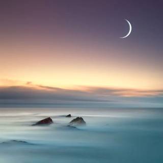 Moonlight seascape wallpaper