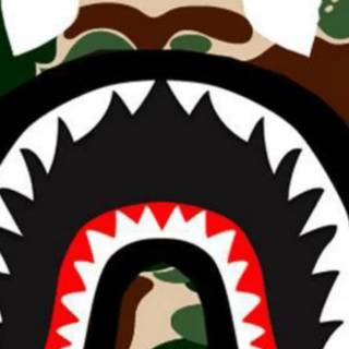 Sprayground wallpaper