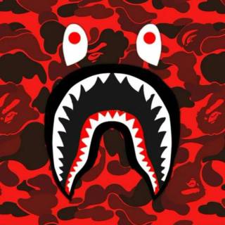 Sprayground shark wallpaper