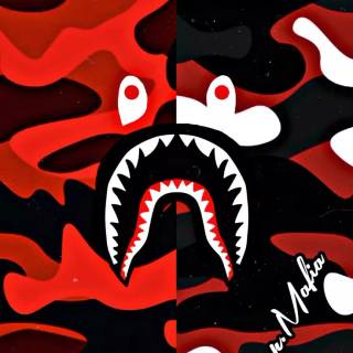 Sprayground shark wallpaper