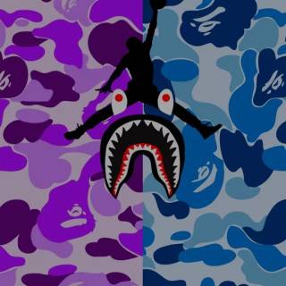 Sprayground shark wallpaper