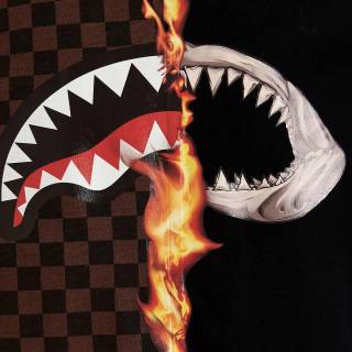 Sprayground shark wallpaper