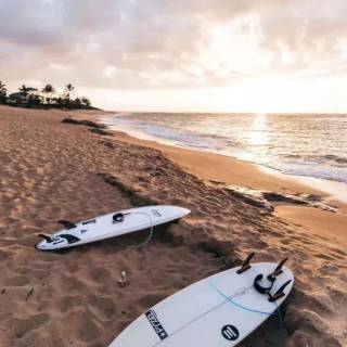 Surfer beach wallpaper