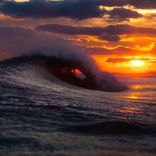 Surfer beach wallpaper