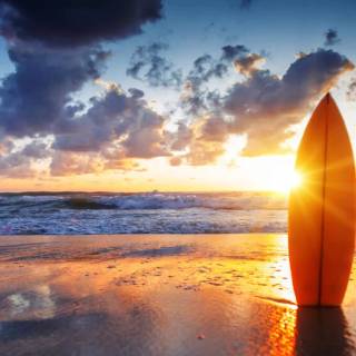 Surfer beach wallpaper